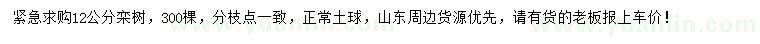 求購12公分欒樹