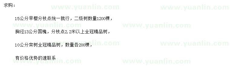 求購(gòu)早櫻、國(guó)槐、欒樹(shù)