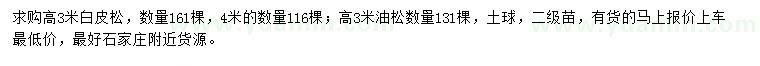 求購高3米白皮松、油松