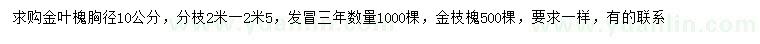 求購胸徑10公分金葉槐