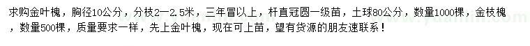 求購胸徑10公分金葉槐、金枝槐