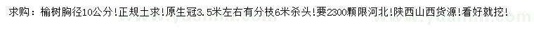 求購胸徑10公分榆樹