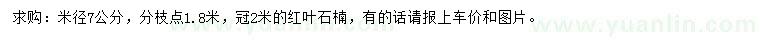 求購米徑7公分紅葉石楠