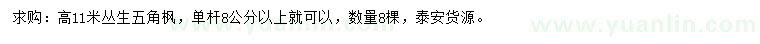求購高11米叢生五角楓