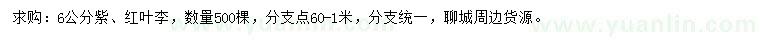 求購(gòu)6公分紫、紅葉李