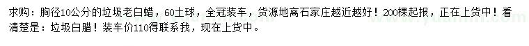 求購胸徑10公分老白蠟