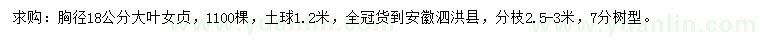 求購胸徑18公分大葉女貞