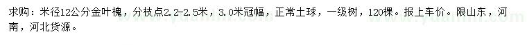 求購米徑12公分金葉槐
