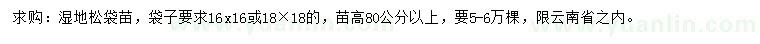 求購高80公分以上濕地松