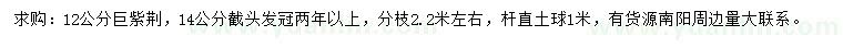 求購12、14公分巨紫荊