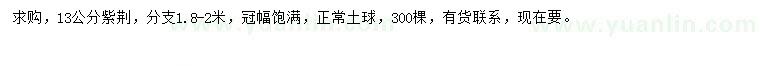 求購13公分紫荊