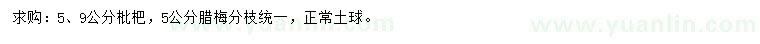 求購5、9公分枇杷、5公分臘梅
