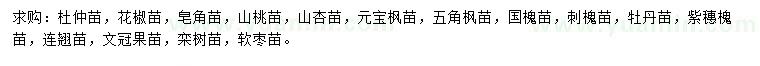求購杜仲苗、花椒苗、皂角苗等