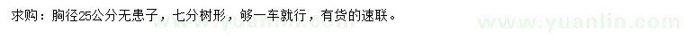 求購(gòu)胸徑25公分無(wú)患子