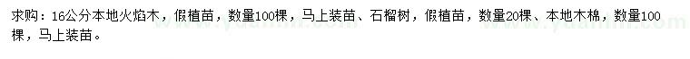 求購本地火焰木、石榴樹、本地木棉