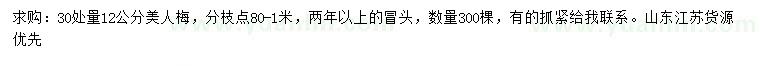 求購30量12公分美人梅