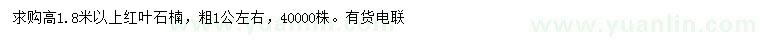求購高1.8米以上紅葉石楠