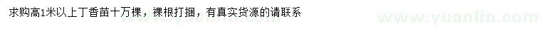 求購高1米以上丁香