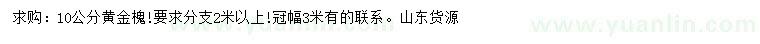 求購10公分黃金槐