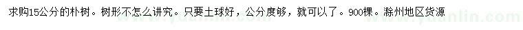 求購15公分樸樹