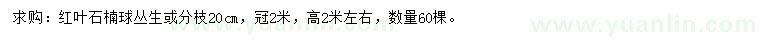 求購冠2米紅葉石楠球