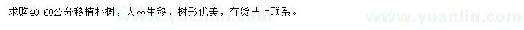 求購(gòu)40-60公分移植樸樹(shù)