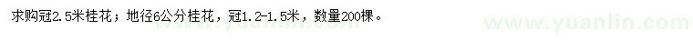 求購(gòu)冠2.5米桂花