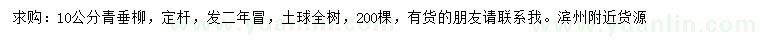 求購10公分青垂柳