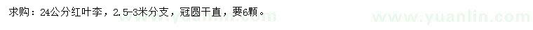 求購24公分紅葉李