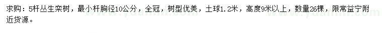 求購5桿叢生欒樹