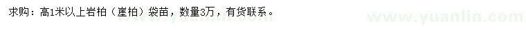 求購(gòu)高1米以上巖柏