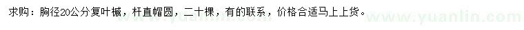 求購胸徑20公分復(fù)葉槭