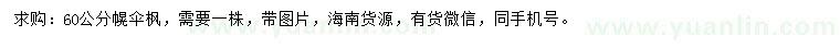 求購60公分幌傘楓