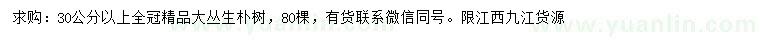 求購(gòu)30公分以上樸樹(shù)
