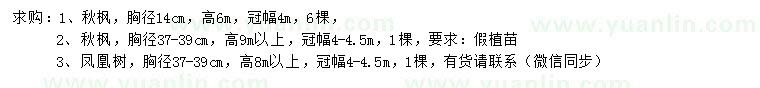 求購胸徑14、37-39公分秋楓、37-39公分鳳凰樹