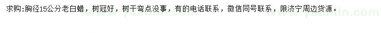 求購胸徑15公分老白蠟