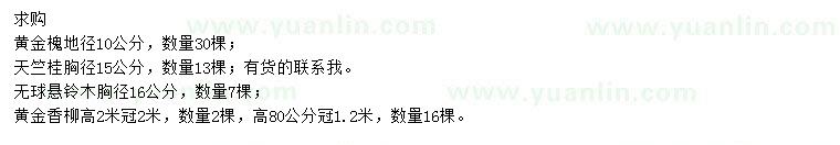 求購(gòu)黃金槐、天竺桂、無(wú)球懸鈴木等