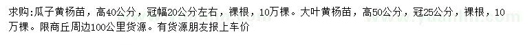 求購(gòu)高40公分瓜子黃楊、高50公分大葉黃楊