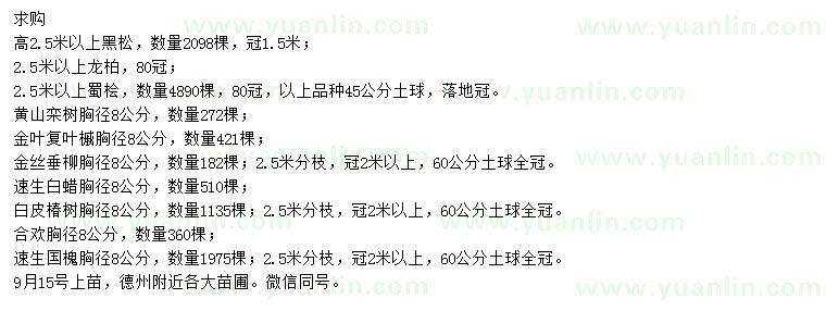 求購黑松、龍柏、蜀檜等