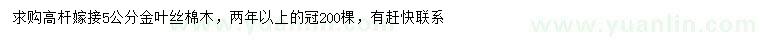 求購5公分金葉絲棉木