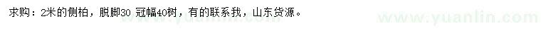 求購2米側(cè)柏