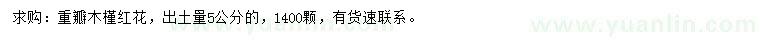 求購出土量5公分重瓣木槿