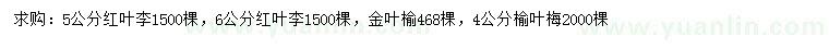 求購紅葉李、金葉榆、榆葉梅