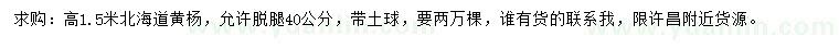 求購(gòu)高1.5米北海道黃楊