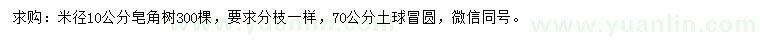 求購米徑10公分皂角