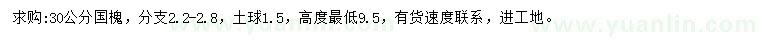 求購30公分國槐