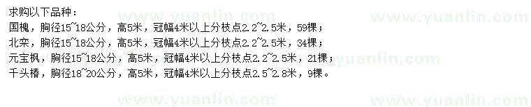 求購(gòu)國(guó)槐、北欒、元寶楓等