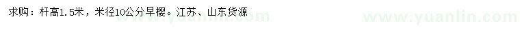 求購桿高1.5米早櫻