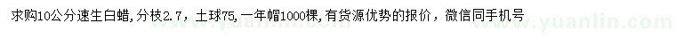 求購10公分速生白蠟
