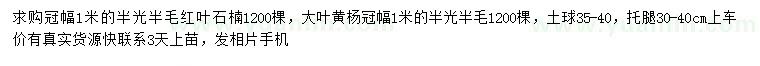 求購冠幅1米紅葉石楠、大葉黃楊